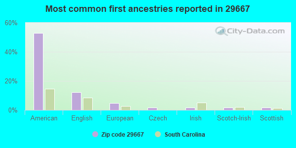 Most common first ancestries reported in 29667