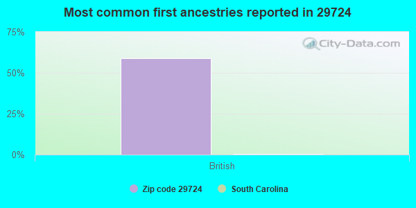 Most common first ancestries reported in 29724