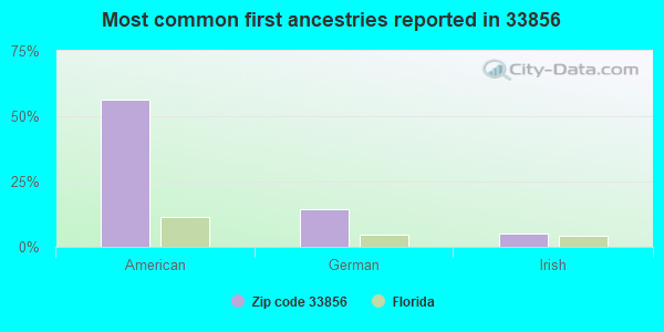 Most common first ancestries reported in 33856