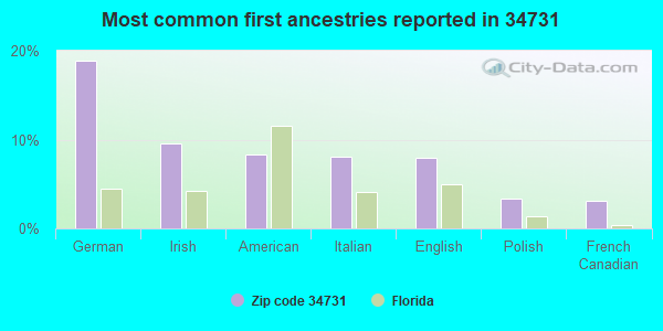 Most common first ancestries reported in 34731
