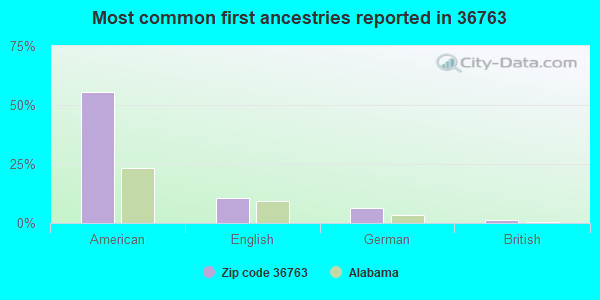 Most common first ancestries reported in 36763