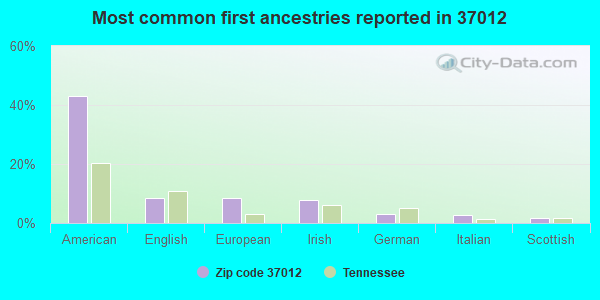 Most common first ancestries reported in 37012