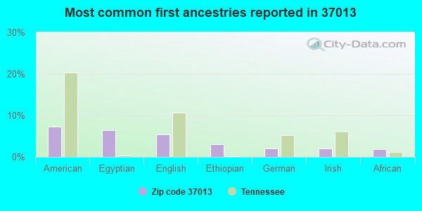 Most common first ancestries reported in 37013