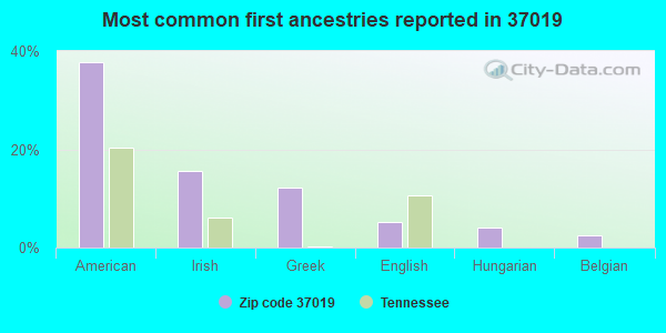 Most common first ancestries reported in 37019