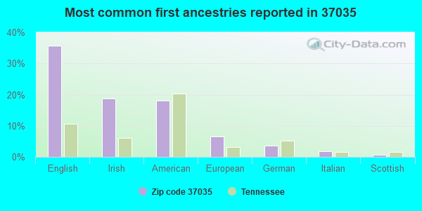 Most common first ancestries reported in 37035