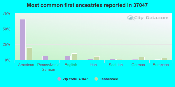 Most common first ancestries reported in 37047