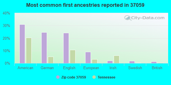 Most common first ancestries reported in 37059