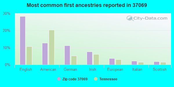 Most common first ancestries reported in 37069