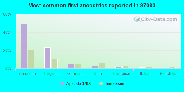 Most common first ancestries reported in 37083