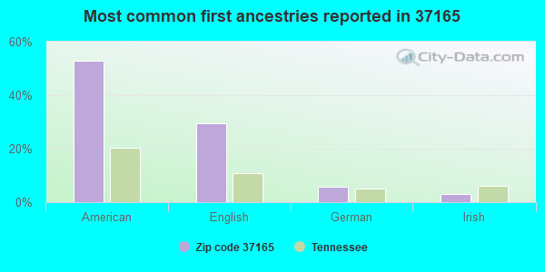 Most common first ancestries reported in 37165