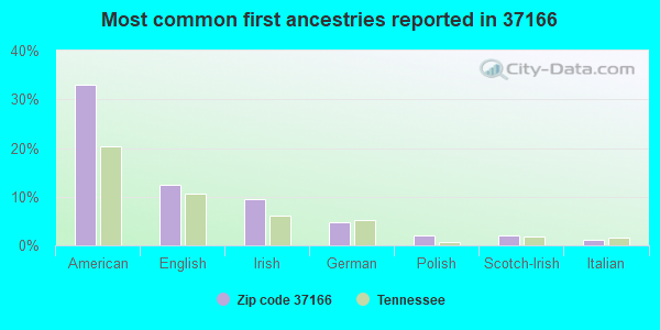 Most common first ancestries reported in 37166