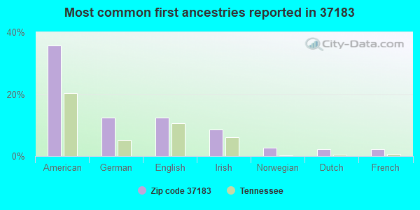 Most common first ancestries reported in 37183