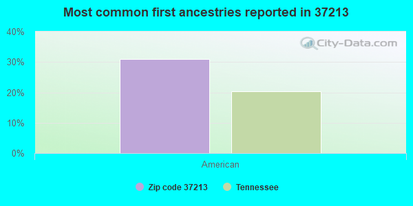 Most common first ancestries reported in 37213