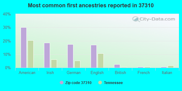 Most common first ancestries reported in 37310