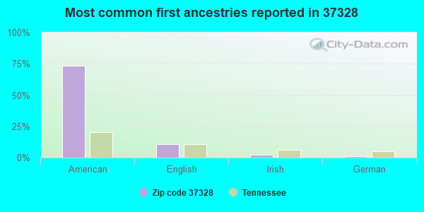Most common first ancestries reported in 37328