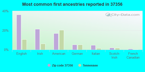 Most common first ancestries reported in 37356