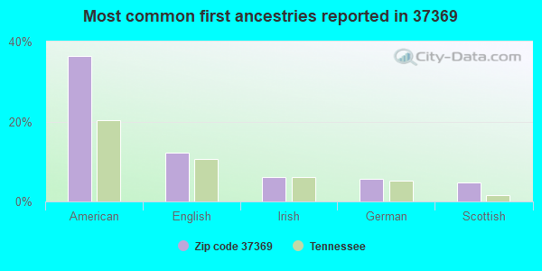 Most common first ancestries reported in 37369