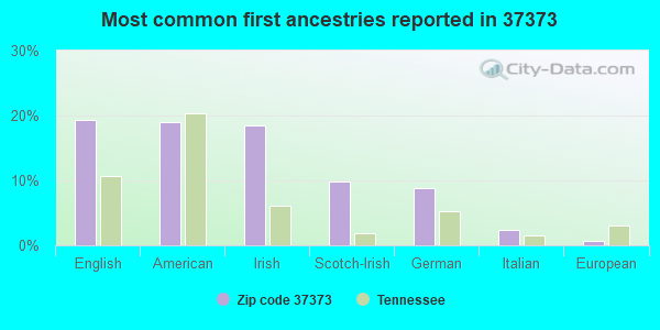 Most common first ancestries reported in 37373