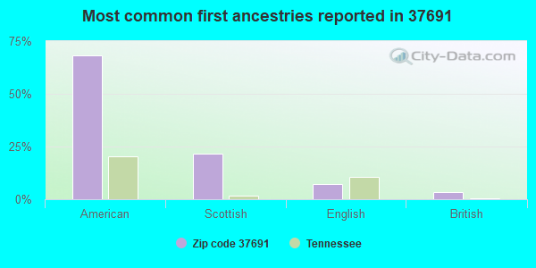 Most common first ancestries reported in 37691