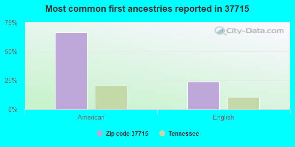 Most common first ancestries reported in 37715
