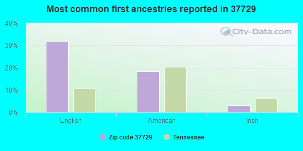 Most common first ancestries reported in 37729