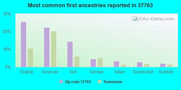 Most common first ancestries reported in 37763