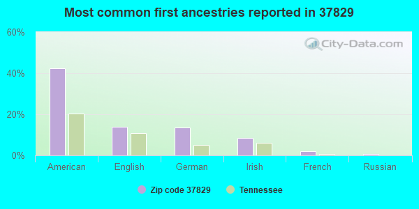 Most common first ancestries reported in 37829