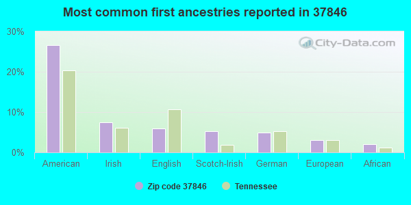 Most common first ancestries reported in 37846