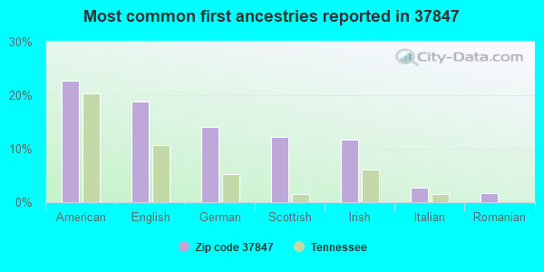 Most common first ancestries reported in 37847