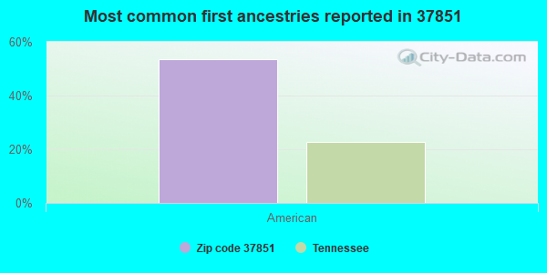 Most common first ancestries reported in 37851