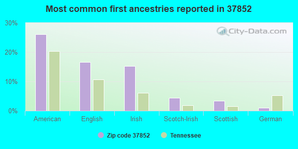 Most common first ancestries reported in 37852