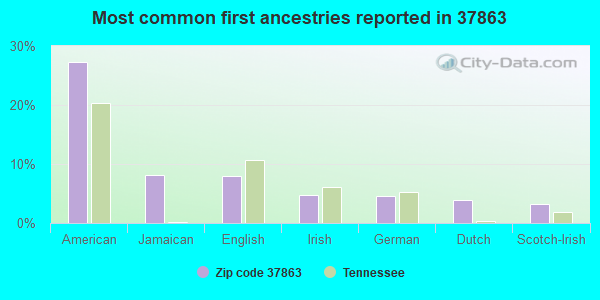 Most common first ancestries reported in 37863