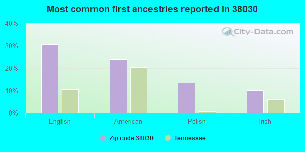 Most common first ancestries reported in 38030