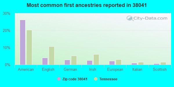 Most common first ancestries reported in 38041