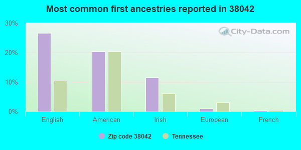 Most common first ancestries reported in 38042