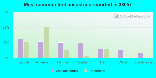 Most common first ancestries reported in 38057