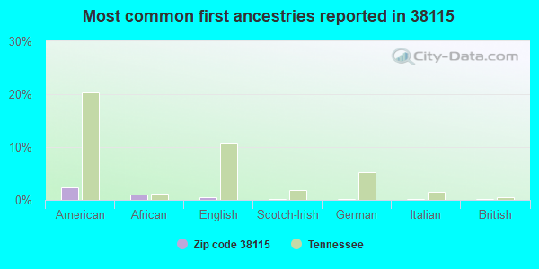 Most common first ancestries reported in 38115