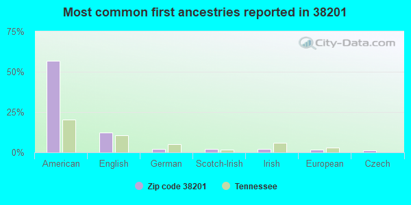 Most common first ancestries reported in 38201