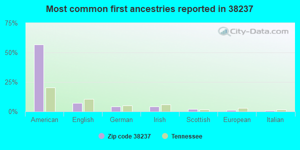 Most common first ancestries reported in 38237