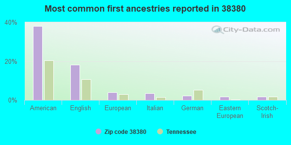 Most common first ancestries reported in 38380