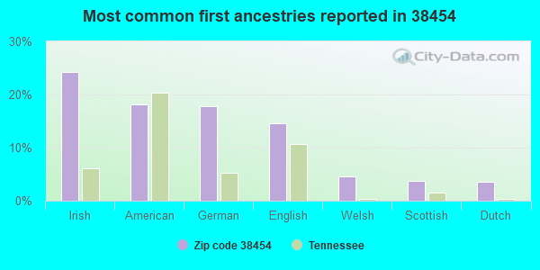 Most common first ancestries reported in 38454