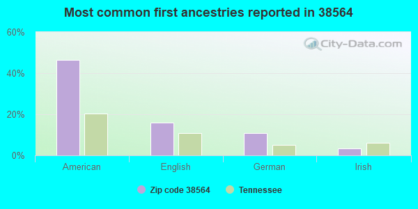 Most common first ancestries reported in 38564