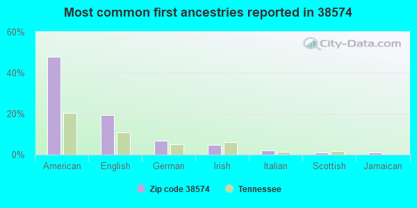 Most common first ancestries reported in 38574