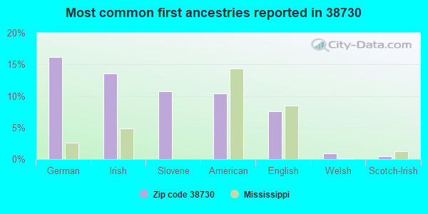 Most common first ancestries reported in 38730