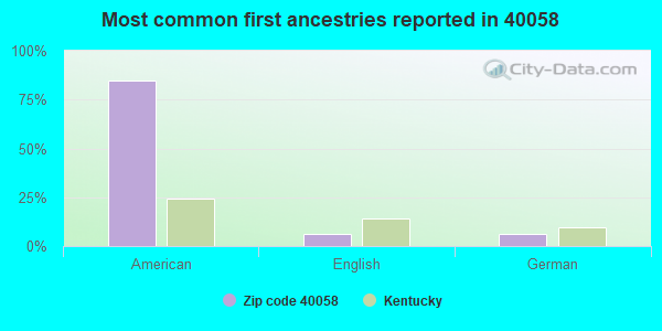 Most common first ancestries reported in 40058