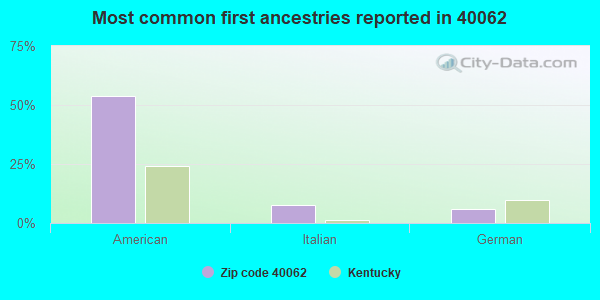 Most common first ancestries reported in 40062