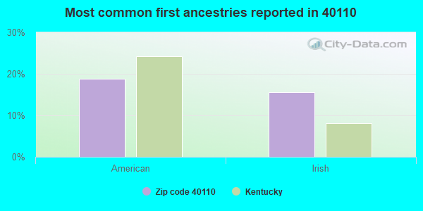 Most common first ancestries reported in 40110