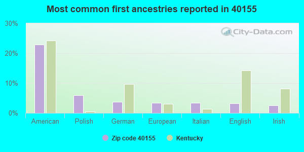 Most common first ancestries reported in 40155