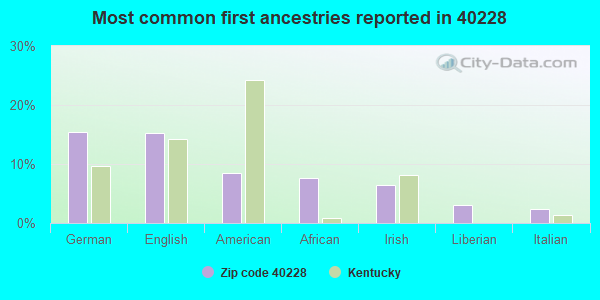 Most common first ancestries reported in 40228