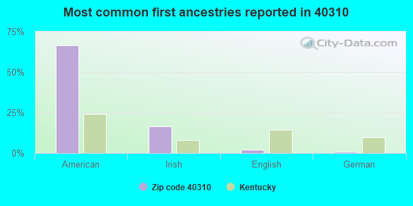 Most common first ancestries reported in 40310